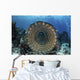 Traditional Fish Trap Made Wall Decal