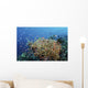 Reef Fish Swimming Strong Coral Wall Decal