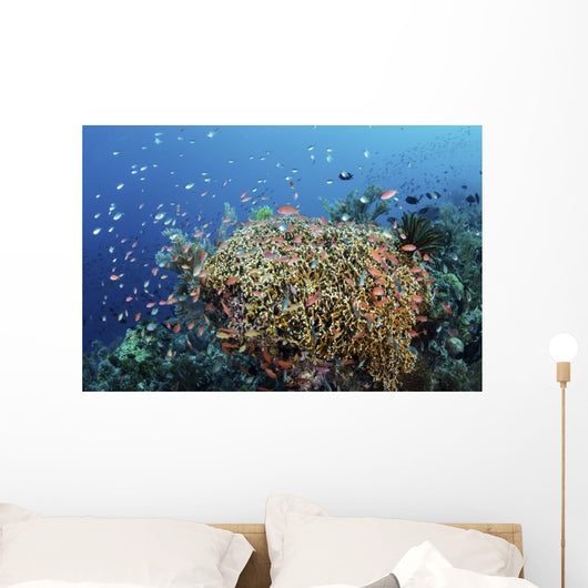 Reef Fish Swimming Strong Coral Wall Decal
