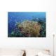 Reef Fish Swimming Strong Coral Wall Decal