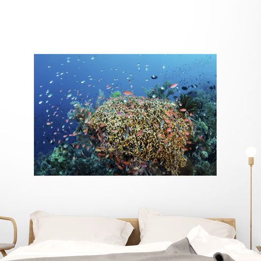 Reef Fish Swimming Strong Coral Wall Decal
