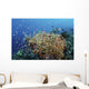 Reef Fish Swimming Strong Coral Wall Decal