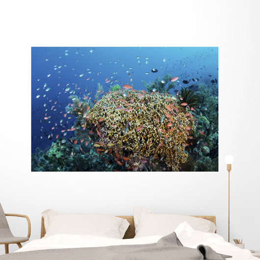 Reef Fish Swimming Strong Coral Wall Decal