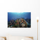 Reef Fish Swimming Strong Light Wall Decal