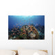 Reef Fish Swimming Strong Light Wall Decal