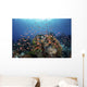 Reef Fish Swimming Strong Light Wall Decal