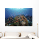 Reef Fish Swimming Strong Light Wall Decal