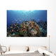 Reef Fish Swimming Strong Light Wall Decal