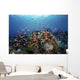 Reef Fish Swimming Strong Light Wall Decal
