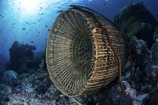 Traditional Fish Trap Made Side Wall Decal