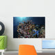 Colorful Reef Fish Swim Dark Wall Decal