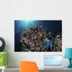 Colorful Reef Fish Swim Dark Wall Decal