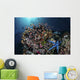 Colorful Reef Fish Swim Dark Wall Decal