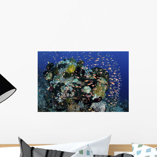 Reef Fish Swimming Strong Dispersing Wall Decal