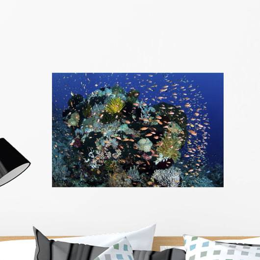 Reef Fish Swimming Strong Dispersing Wall Decal