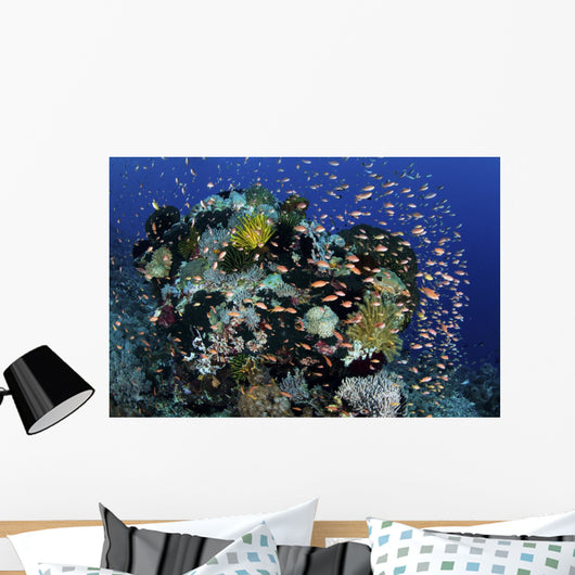 Reef Fish Swimming Strong Dispersing Wall Decal