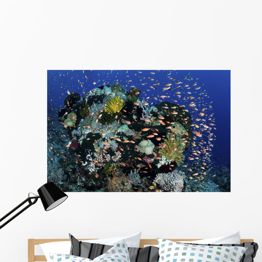 Reef Fish Swimming Strong Dispersing Wall Decal