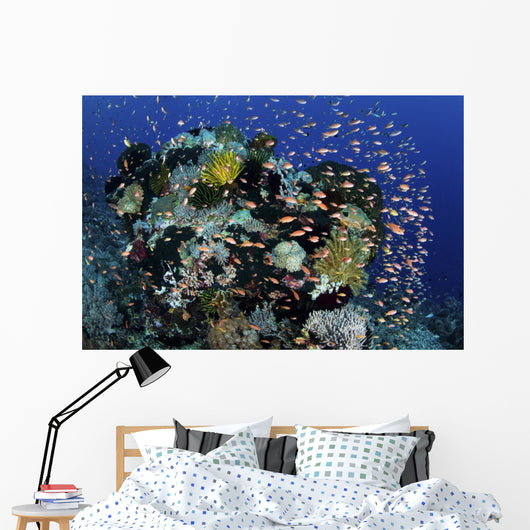 Reef Fish Swimming Strong Dispersing Wall Decal