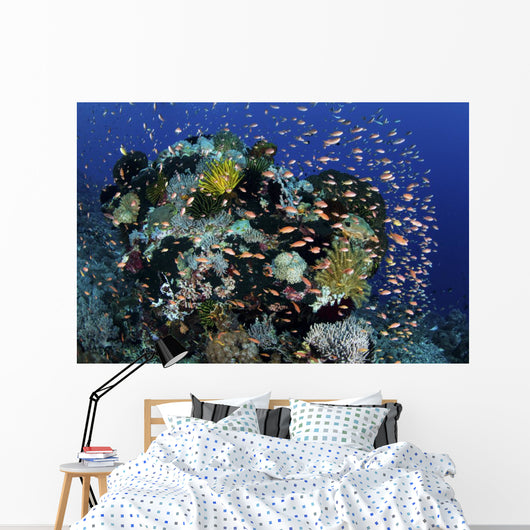 Reef Fish Swimming Strong Dispersing Wall Decal