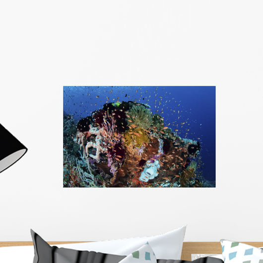 Reef Fish Swimming Strong Reef Wall Decal