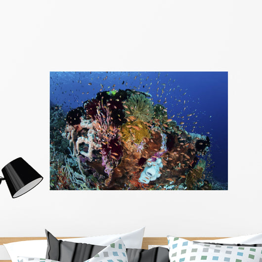 Reef Fish Swimming Strong Reef Wall Decal