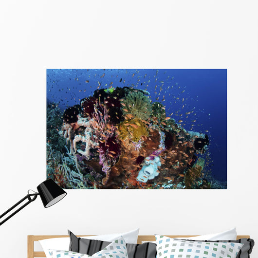 Reef Fish Swimming Strong Reef Wall Decal