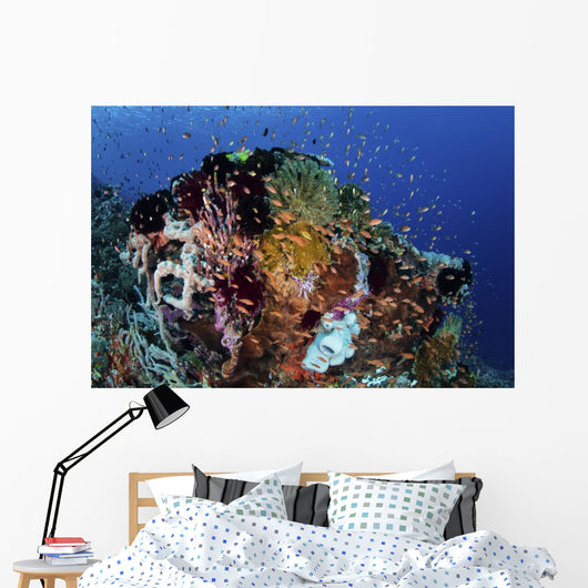 Reef Fish Swimming Strong Reef Wall Decal