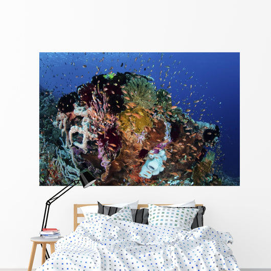 Reef Fish Swimming Strong Reef Wall Decal