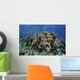 Colorful Reef Fish Swim Schooling Wall Decal
