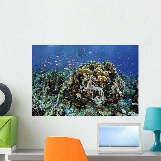 Colorful Reef Fish Swim Schooling Wall Decal