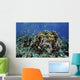 Colorful Reef Fish Swim Schooling Wall Decal