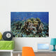 Colorful Reef Fish Swim Schooling Wall Decal