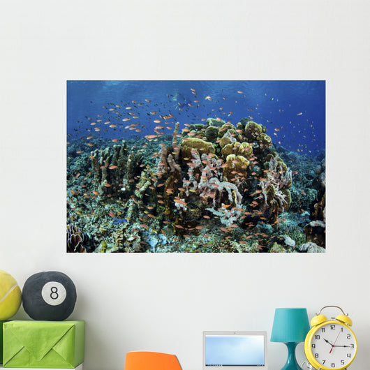 Colorful Reef Fish Swim Schooling Wall Decal