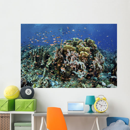 Colorful Reef Fish Swim Schooling Wall Decal