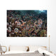 Reef Fish Swimming Strong Looking Down Wall Decal