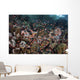 Reef Fish Swimming Strong Looking Down Wall Decal