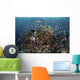Reef Fish Swimming Strong Close-up Wall Decal