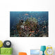 Reef Fish Swimming Strong Close-up Wall Decal