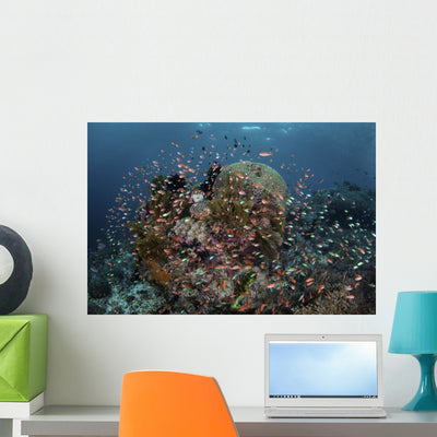 Reef Fish Swimming Strong Schooling Wall Decal shown on a wall