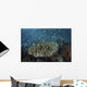 Blue-green Damselfish Schooling Reef Wall Decal