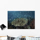 Blue-green Damselfish Schooling Reef Wall Decal