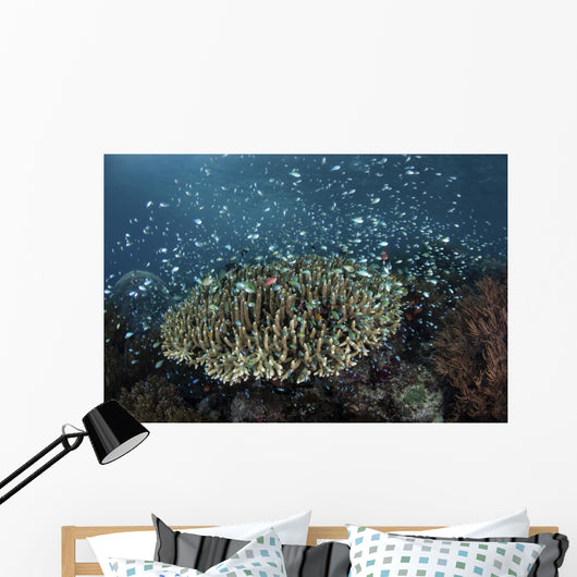 Blue-green Damselfish Schooling Reef Wall Decal