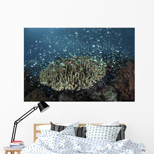 Blue-green Damselfish Schooling Reef Wall Decal