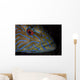 Portrait Blue Line Grouper Wall Decal
