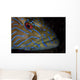 Portrait Blue Line Grouper Wall Decal