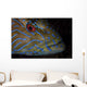 Portrait Blue Line Grouper Wall Decal