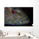 Portrait Blue Line Grouper Wall Decal