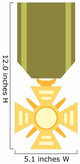 Cute Cartoon Medal Wall Decal