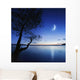 Silhouette Lonely Tree Lake Wall Decal