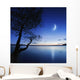 Silhouette Lonely Tree Lake Wall Decal